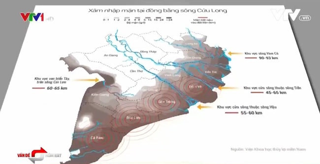 Người dân ĐBSCL túng quẫn vì nước sinh hoạt mặn hơn nước muối - Ảnh 2.