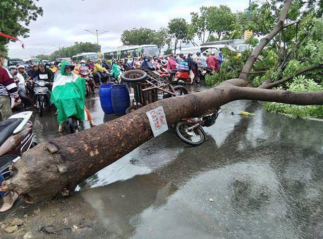 Mưa lớn kèm dông lốc, hàng loạt cây ngã đổ đè người đi đường ở Sài Gòn - Ảnh 2.