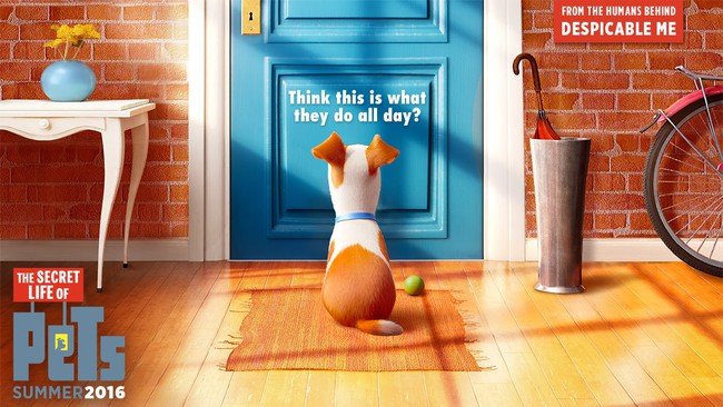 The Secret Life of Pets - Đại tiệc thú cưng hấp dẫn và đầy màu sắc - Ảnh 1.