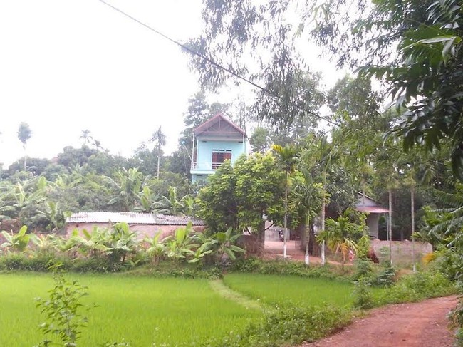Bắc Giang: Vợ tr&oacute;i chồng rồi ch&iacute;ch điện đến chết - Ảnh 1.