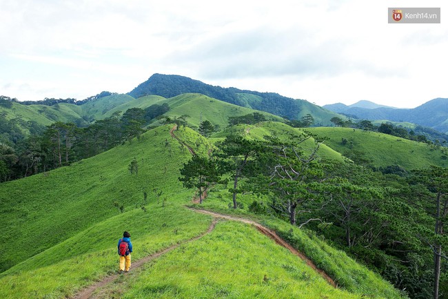 Trekking và cắm trại ở đồi Tà Năng: Đi để thấy mình còn trẻ và còn nhiều nơi phải chinh phục! - Ảnh 1.