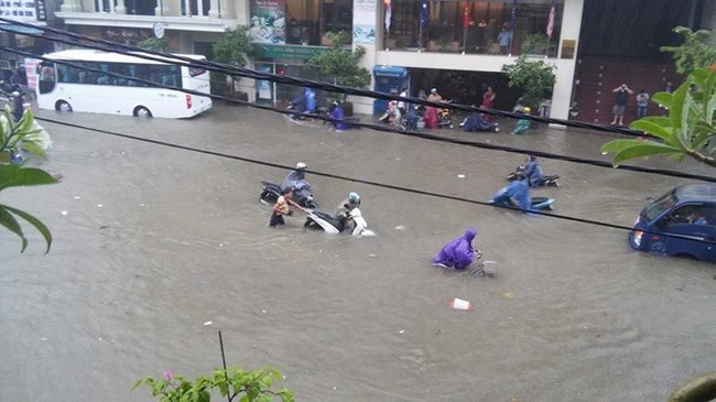 Người đàn ông Tây vô tư bơi lội giữa đường khi Cố đô Huế chìm trong biển nước - Ảnh 3.