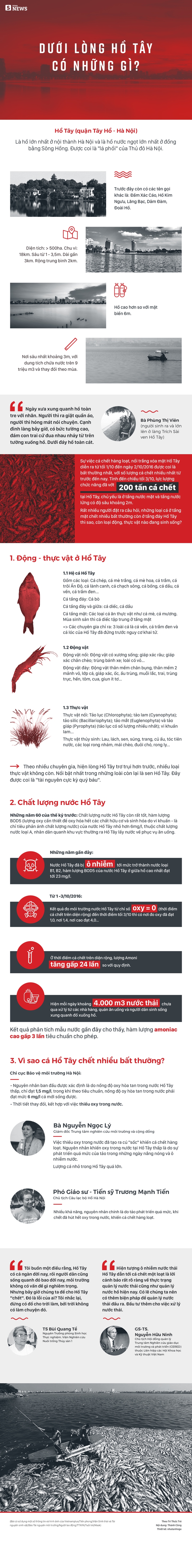 Infographic: Dưới l&ograve;ng hồ T&acirc;y c&oacute; những g&igrave;? - Ảnh 1.