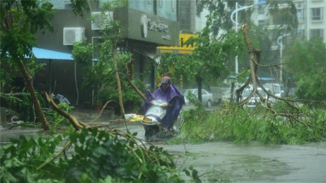 B&atilde;o c&aacute;ch Quảng Ninh- Hải Ph&ograve;ng 280km, C&ocirc; T&ocirc; dậy s&oacute;ng - Ảnh 2.