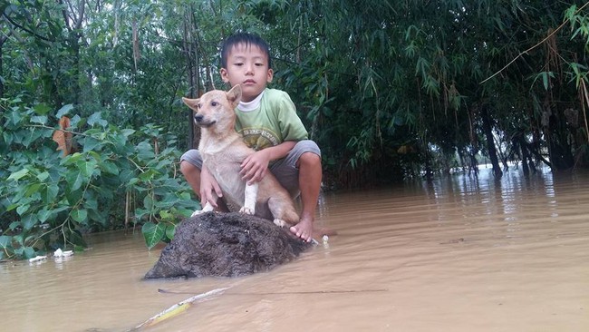 Cậu bé 6 tuổi bật khóc vì bơi ra dòng nước lũ cứu chú chó nhỏ nhưng không thể vào bờ - Ảnh 2.