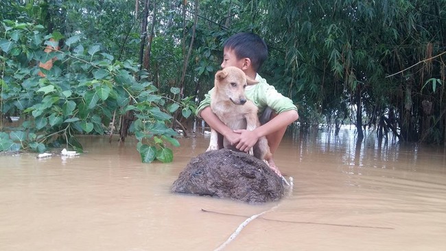 Cậu bé 6 tuổi bật khóc vì bơi ra dòng nước lũ cứu chú chó nhỏ nhưng không thể vào bờ - Ảnh 3.