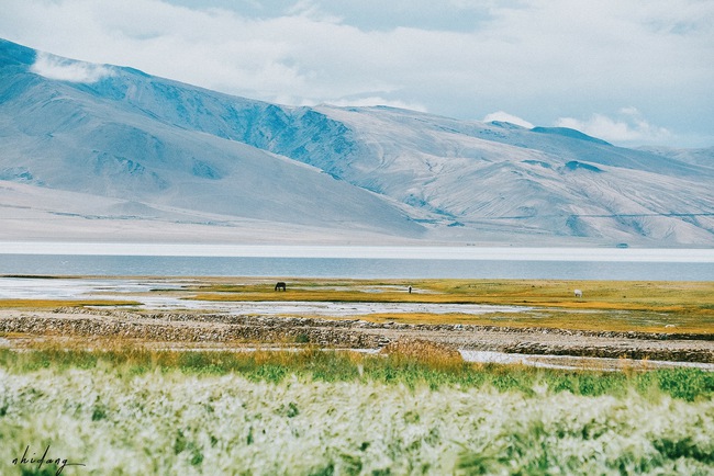 Ladakh - Tiểu Tây Tạng của Ấn Độ: Đừng đến nếu bạn thích an nhàn! - Ảnh 8.