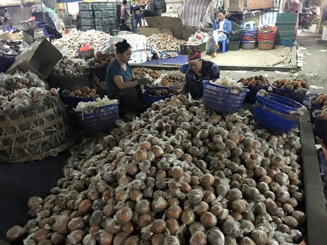 Sự thật cam H&agrave; Giang quấn nilon ngập chợ H&agrave; Nội - Ảnh 2.
