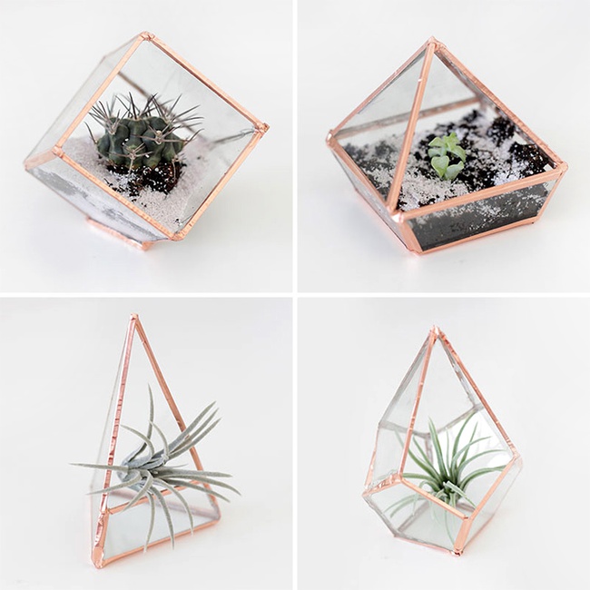 Tự chế bình trồng cây terrarium không hề khó như bạn nghĩ - Ảnh 11.