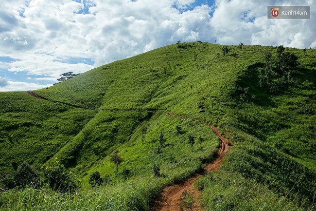 Trekking và cắm trại ở đồi Tà Năng: Đi để thấy mình còn trẻ và còn nhiều nơi phải chinh phục! - Ảnh 2.