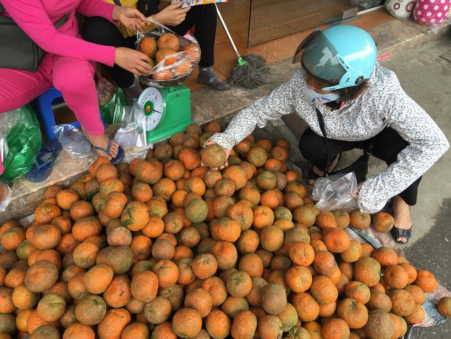 Sự thật cam H&agrave; Giang quấn nilon ngập chợ H&agrave; Nội - Ảnh 3.