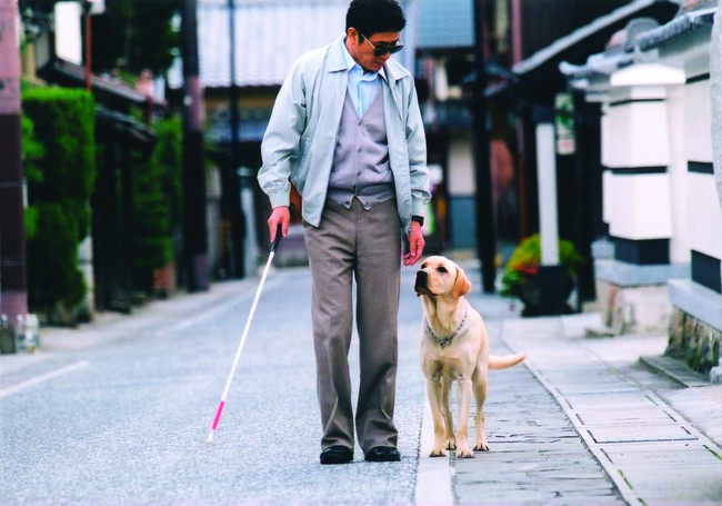 Bài học nhìn người từ câu chuyện con chó dẫn đường và người chủ mù lòa - Ảnh 3.