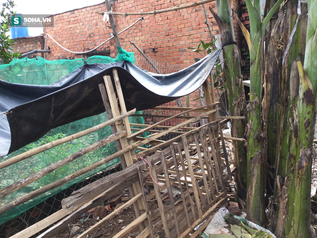 Một nh&agrave; c&oacute; 3 chị em bị x&acirc;m hại t&igrave;nh dục, anh 21 tuổi kiếm tiền nu&ocirc;i 4 em - Ảnh 4.