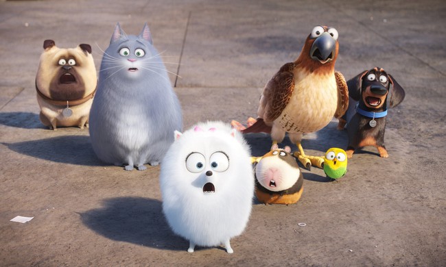 The Secret Life of Pets - Đại tiệc thú cưng hấp dẫn và đầy màu sắc - Ảnh 4.