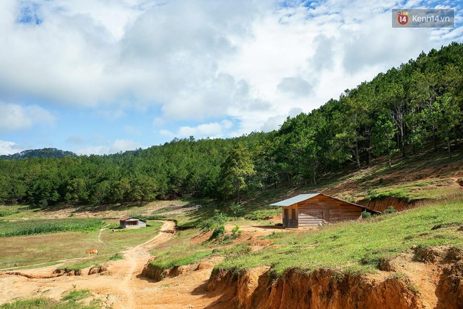 Trekking và cắm trại ở đồi Tà Năng: Đi để thấy mình còn trẻ và còn nhiều nơi phải chinh phục! - Ảnh 4.