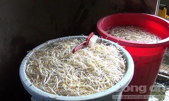 H&atilde;i h&ugrave;ng c&ocirc;ng nghệ sản xuất gi&aacute; bằng thạch cao, bột đ&aacute; v&ocirc;i v&agrave; h&oacute;a chất - Ảnh 5.