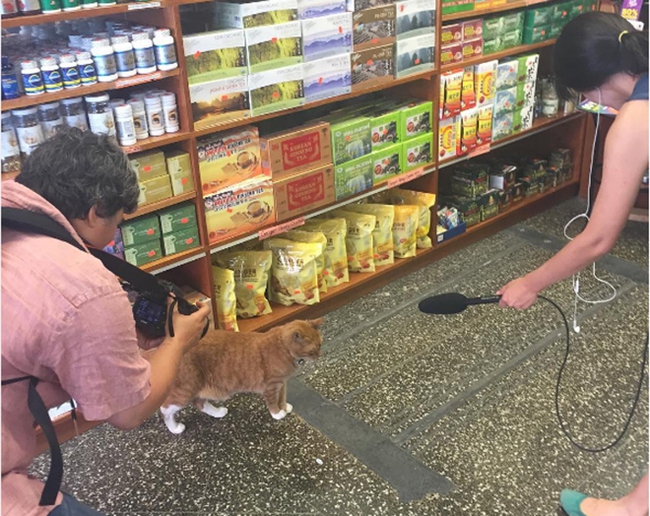 9 năm cần mẫn trông cửa hàng không nghỉ, chú mèo này đã trở nên nổi tiếng khắp New York - Ảnh 9.