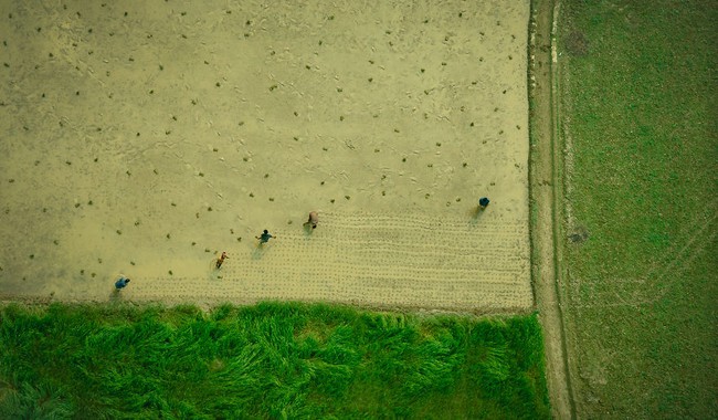 Một Bangladesh đẹp mê hồn qua góc nhìn từ phía trên cao - Ảnh 1.