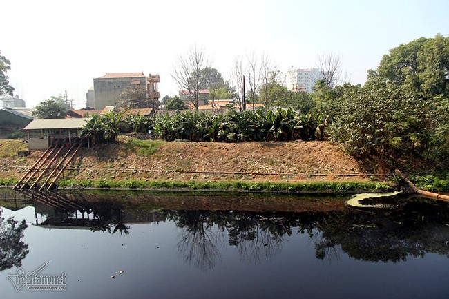 Hà Nội: Lềnh bềnh rau muống trên dòng sông đỏ quạch - Ảnh 9.