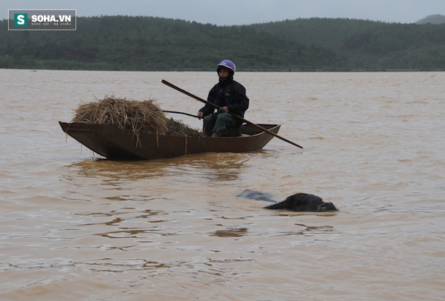 Cuộc sống đảo lộn của hàng nghìn người trên nóc nhà trong lũ dữ - Ảnh 10.