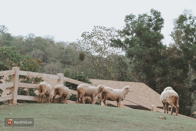 Không ngờ ở Thái Lan lại có một nước Ý thu nhỏ xinh đẹp đến thế này - Ảnh 16.