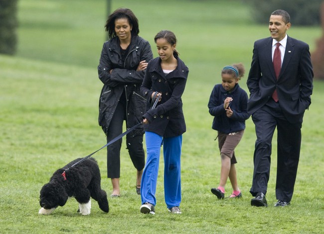 Sau Bo và Sunny của Tổng thống Barack Obama, con vật nào sẽ là đệ nhất thú cưng mới trong Nhà Trắng? - Ảnh 3.