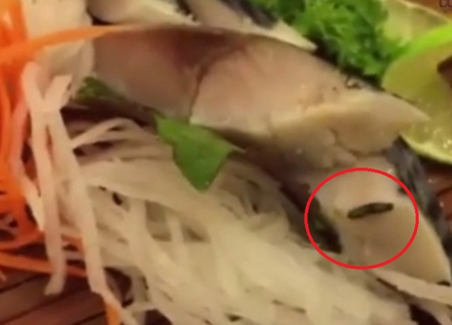 H&agrave; Nội: Kh&aacute;ch hoảng hồn thấy hai m&oacute;n ăn c&oacute; s&acirc;u trong nh&agrave; h&agrave;ng Nhật hạng sang - Ảnh 1.