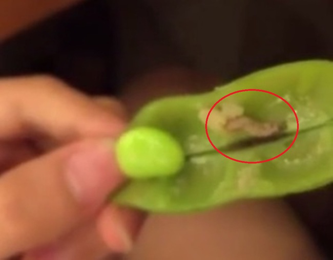 H&agrave; Nội: Kh&aacute;ch hoảng hồn thấy hai m&oacute;n ăn c&oacute; s&acirc;u trong nh&agrave; h&agrave;ng Nhật hạng sang - Ảnh 2.