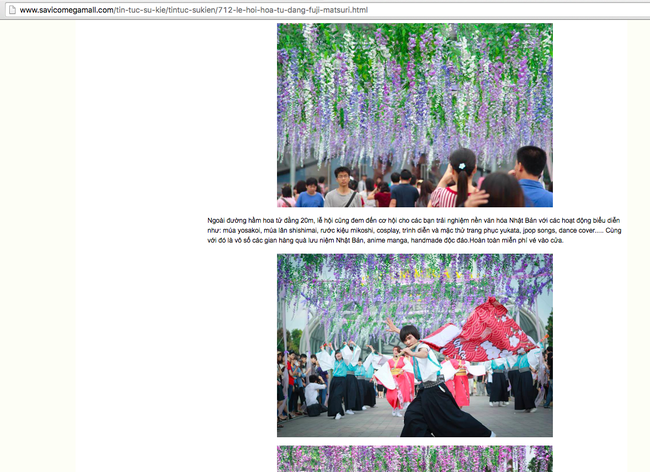 Lễ hội hoa tử đằng ở Hà Nội: Nỗi thất vọng khi thực tế khác xa hình ảnh quảng cáo - Ảnh 3.