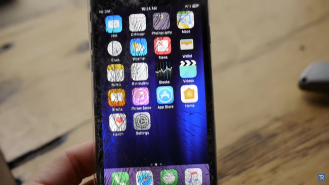 Thanh ni&ecirc;n rảnh rỗi mang iPhone 7 ra tr&ecirc;u c&aacute; sấu v&agrave; c&aacute;i kết đắng l&ograve;ng - Ảnh 2.