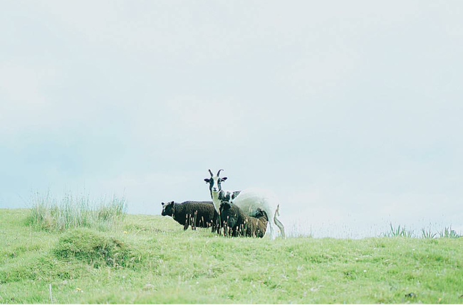 Nếu m&ecirc; du lịch, h&atilde;y chắc rằng m&igrave;nh đ&atilde; follow 6 người trẻ Việt n&agrave;y tr&ecirc;n Instagram - Ảnh 27.