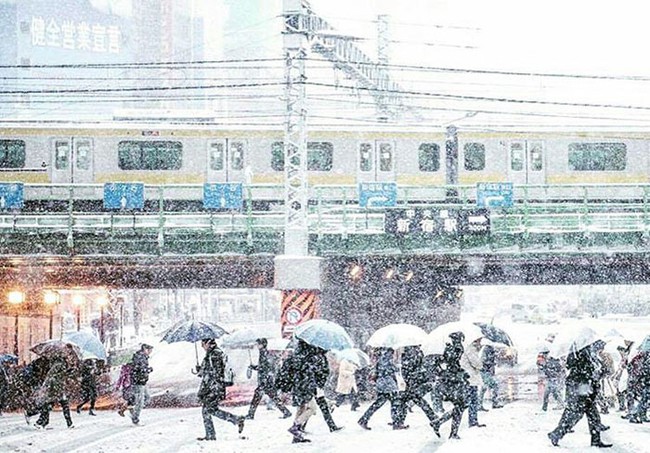 Ngắm nhìn Tokyo đẹp đến nao lòng dịp tuyết đầu mùa - Ảnh 3.