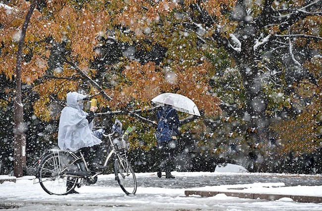 Ngắm nhìn Tokyo đẹp đến nao lòng dịp tuyết đầu mùa - Ảnh 25.