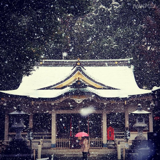Ngắm nhìn Tokyo đẹp đến nao lòng dịp tuyết đầu mùa - Ảnh 1.