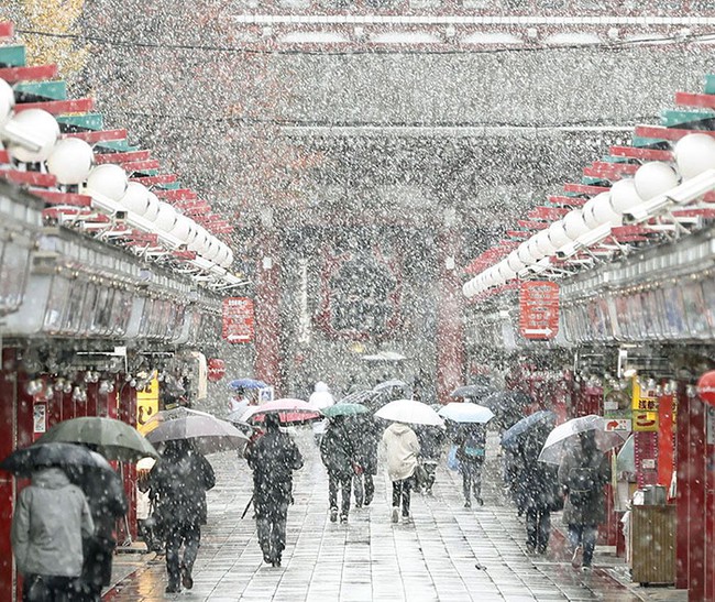 Ngắm nhìn Tokyo đẹp đến nao lòng dịp tuyết đầu mùa - Ảnh 7.