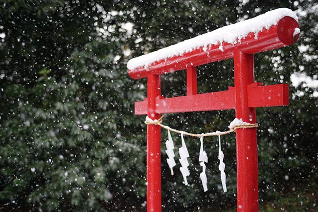Ngắm nhìn Tokyo đẹp đến nao lòng dịp tuyết đầu mùa - Ảnh 13.