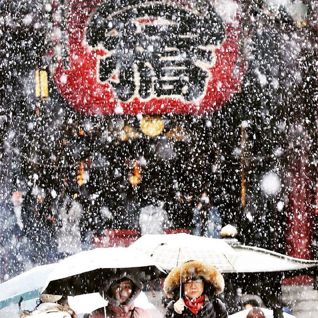 Ngắm nhìn Tokyo đẹp đến nao lòng dịp tuyết đầu mùa - Ảnh 15.