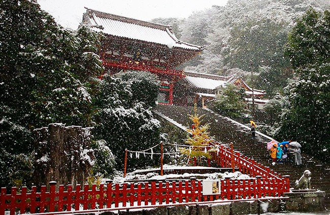 Ngắm nhìn Tokyo đẹp đến nao lòng dịp tuyết đầu mùa - Ảnh 17.