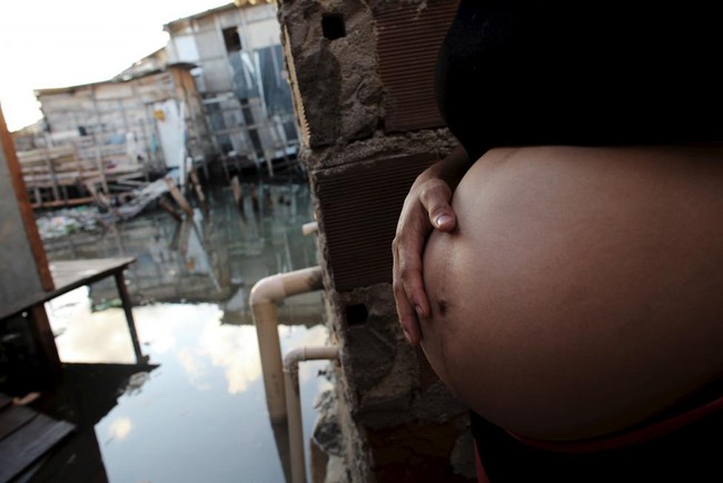Ch&ugrave;m ảnh: khi virus Zika gieo rắc nỗi kinh ho&agrave;ng tr&ecirc;n to&agrave;n thế giới - Ảnh 1.