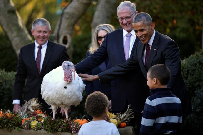 Tổng thống Obama xá tội cho gà tây lần cuối cùng tại Nhà Trắng - Ảnh 1.