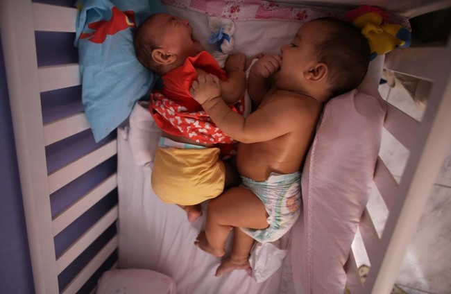 Ch&ugrave;m ảnh: khi virus Zika gieo rắc nỗi kinh ho&agrave;ng tr&ecirc;n to&agrave;n thế giới - Ảnh 7.