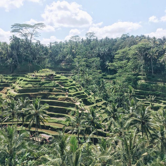 Đi Bali ngay thôi! Không chỉ có biển, Bali còn có nhiều điều thú vị hơn thế! - Ảnh 23.