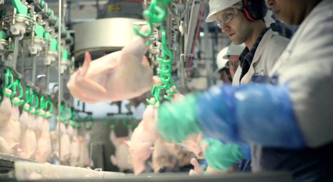 Chicken Nugget - M&oacute;n g&agrave; thần th&aacute;nh của c&aacute;c h&atilde;ng fastfood được sản xuất h&agrave;ng loạt như thế n&agrave;o? - Ảnh 2.