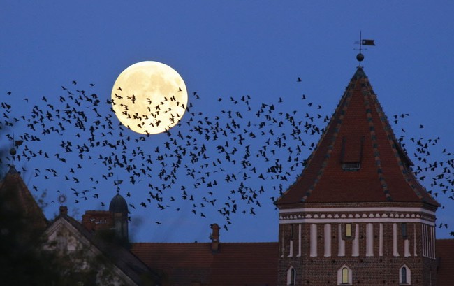 Những địa điểm tốt nhất để ngắm siêu trăng thế kỷ ngày 14/11 này - Ảnh 3.