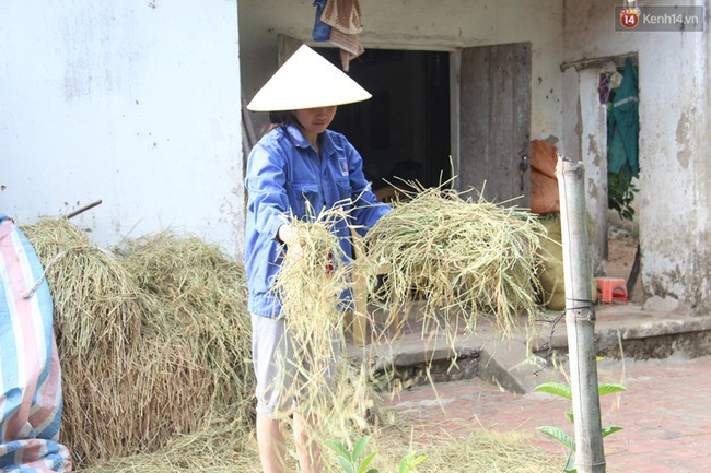 Nữ sinh đạt 24,5 điểm khối C có nguy cơ lỡ đại học vì nhà quá nghèo - Ảnh 5.