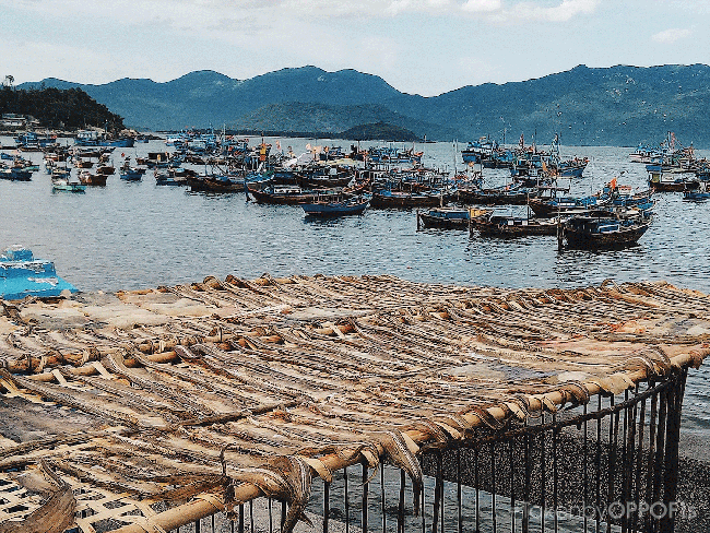 Văn h&oacute;a c&aacute;c địa phương Việt Nam thật đẹp qua g&oacute;c nh&igrave;n của những người trẻ đam m&ecirc; du lịch! - Ảnh 12.