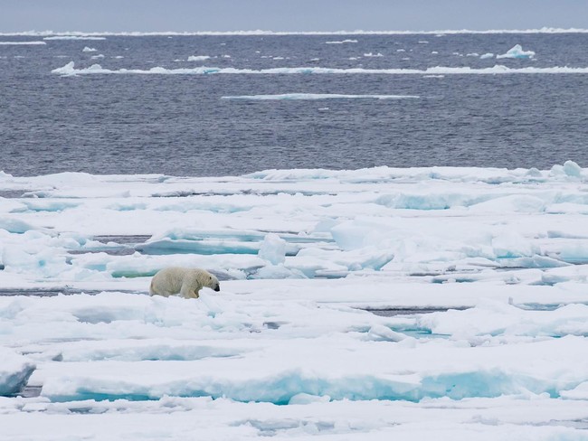 Lần đầu tiên sau 100.000 năm, băng tại Bắc Cực có thể tan chảy hoàn toàn - Ảnh 1.