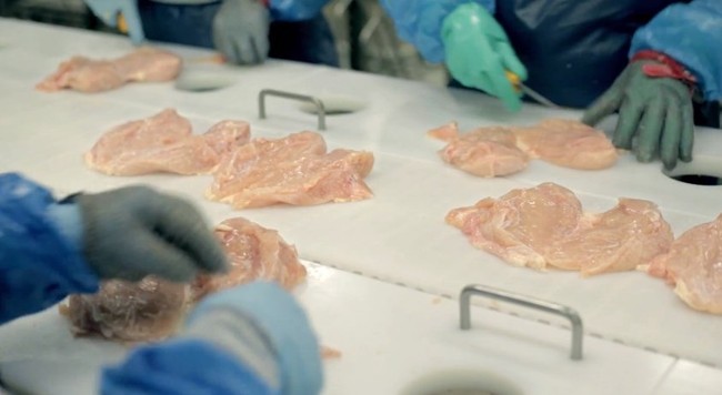 Chicken Nugget - M&oacute;n g&agrave; thần th&aacute;nh của c&aacute;c h&atilde;ng fastfood được sản xuất h&agrave;ng loạt như thế n&agrave;o? - Ảnh 4.