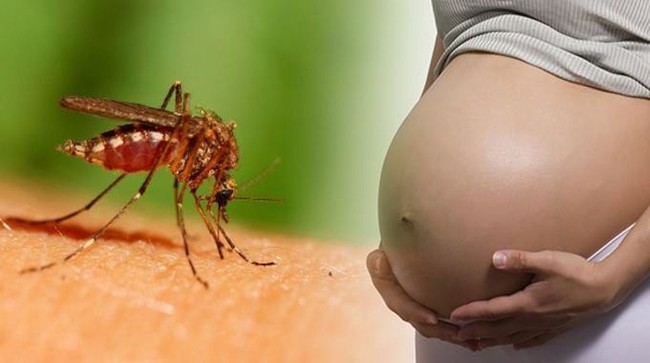 Việt Nam ghi nhận thêm 2 phụ nữ nhiễm virus Zika, trong đó có 1 người đang mang thai - Ảnh 1.