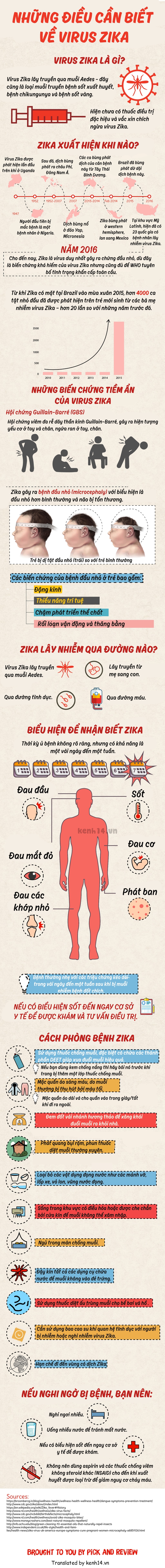 Những điều cần biết về virus Zika - Ảnh 1.